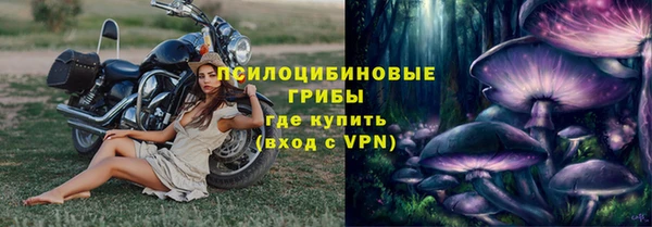 МДПВ Корсаков