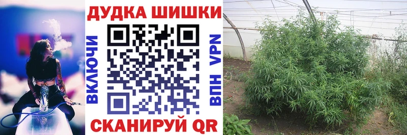 Марихуана OG Kush  Купить закладки  Первомайск 